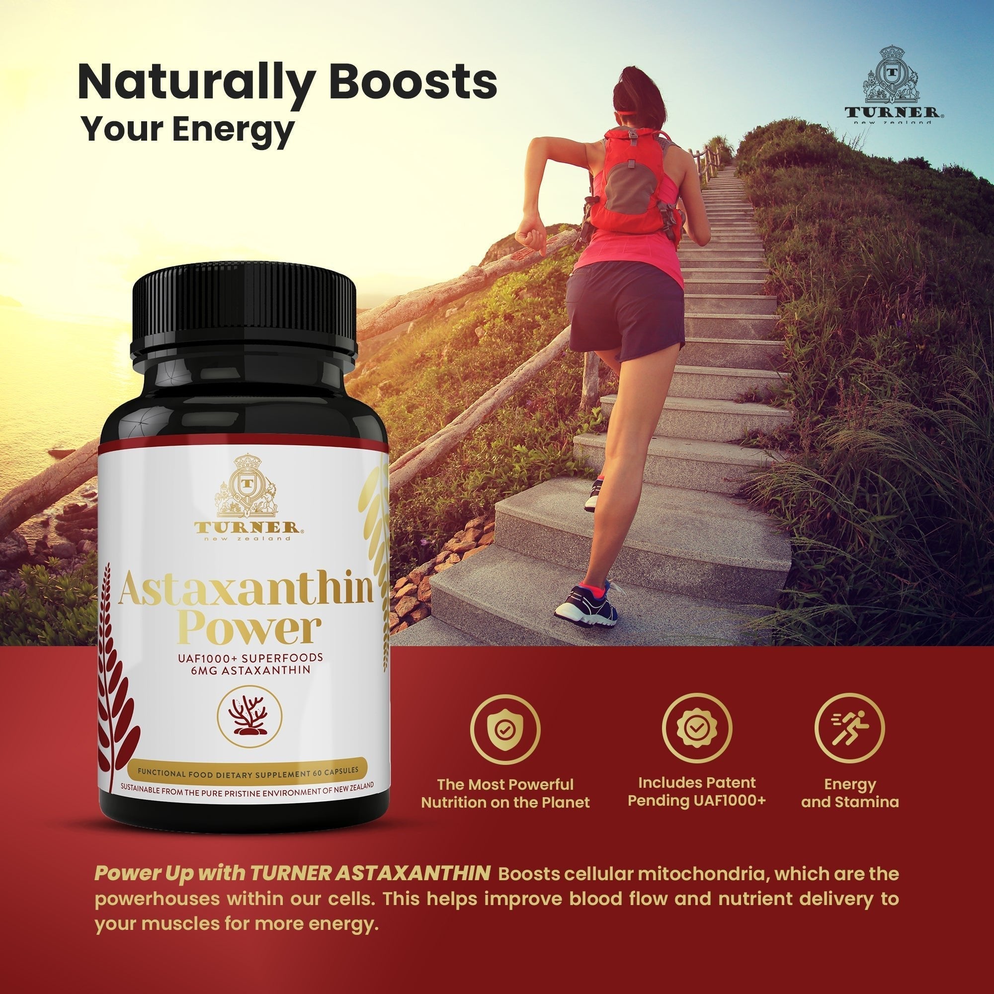 Astaxanthin Power, TURNER New Zealand,