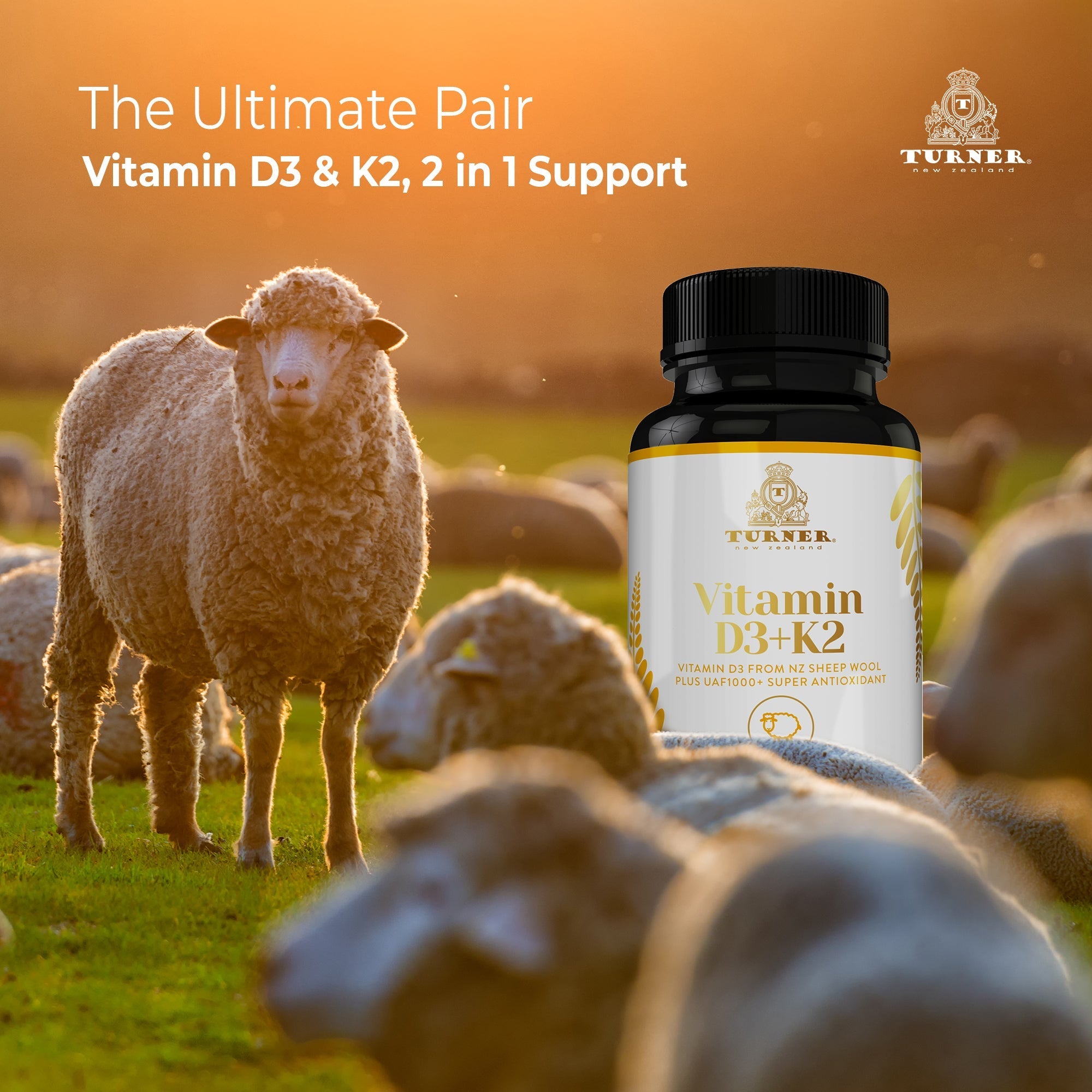 Vitamin D3+K2, TURNER New Zealand,